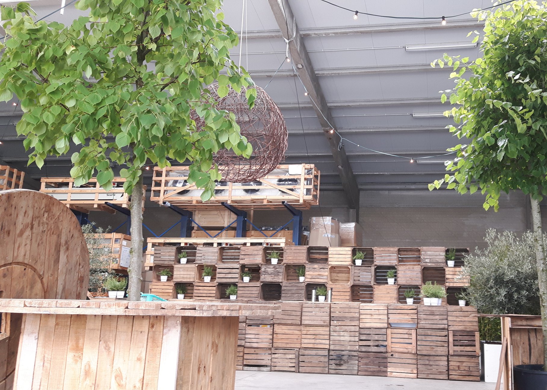 Voortoog en backbar uit fruitkisten (excl. planten)